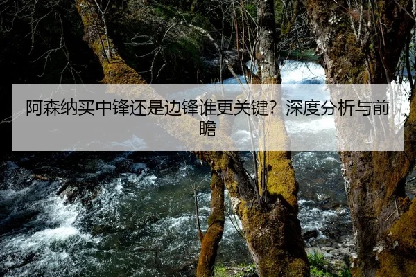 阿森纳买中锋还是边锋谁更关键？深度分析与前瞻